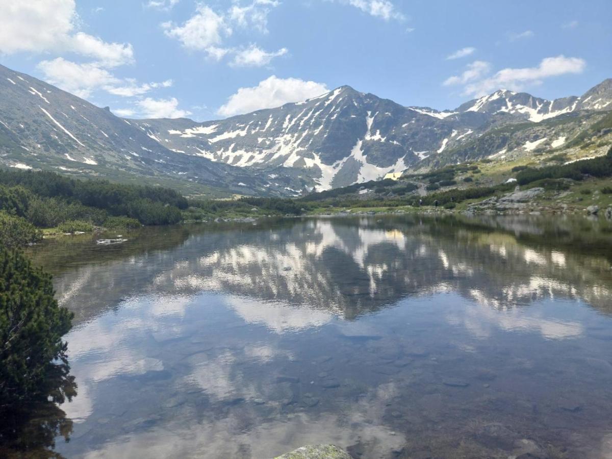 Klepalski - Mountain * Borowez